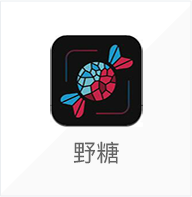 野糖的双十一经营之道