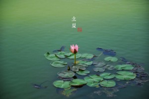 立夏已至，你懂的！