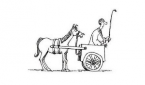 企业如何通过服务实现 “有机增长”