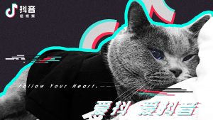 抖音广告如何投放？