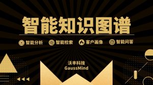 沃丰科技GaussMind为用户提供完整的智能知识图谱服务