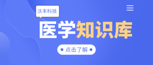 医学知识库的结构组成部分有哪些？