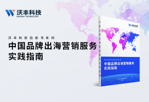 中国品牌出海营销服务实践指南